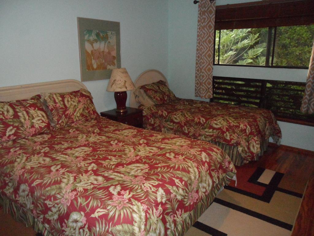 A Beautiful Edge Of The World Bed & Breakfast กัปตันคุก ภายนอก รูปภาพ